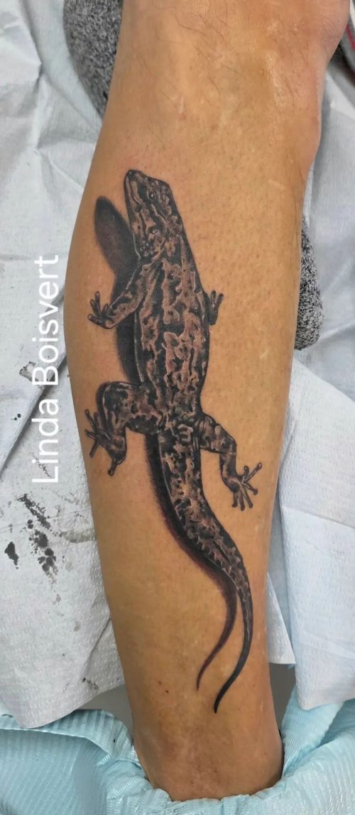 483741020_10170682408220696_5500975931218692463_n