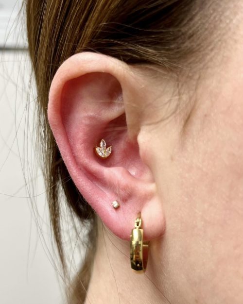 494133498_1359781998942402_3748457973919315587_n