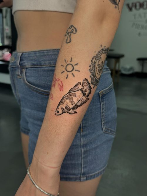 514500116_18093791038717318_222273742582484356_n