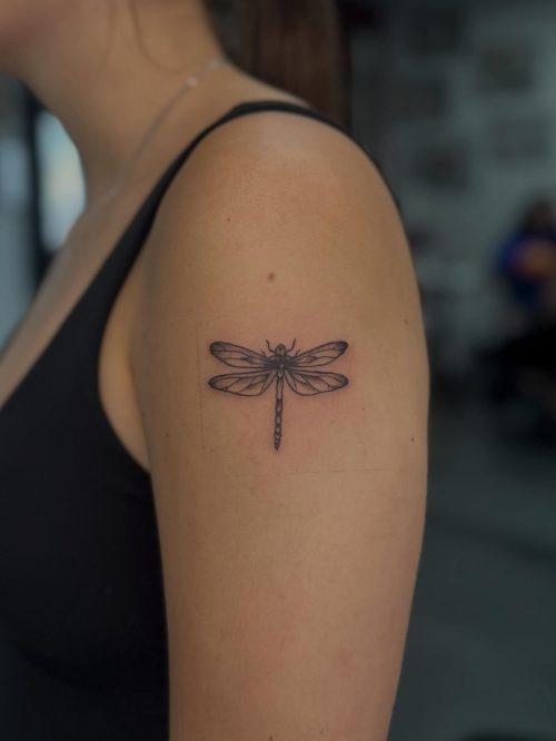 515275965_18093976600717318_7575412707841549822_n