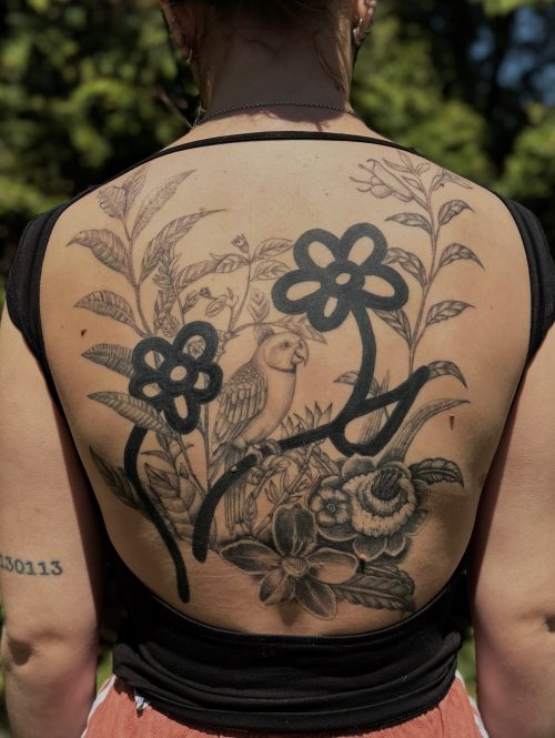 532442880_18098056066717318_6576849033053421299_n