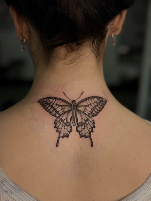 533297538_18098056084717318_3393917366193424481_n