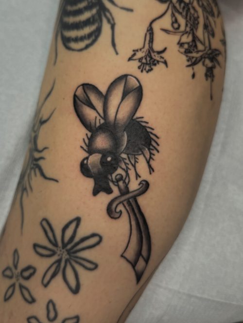 534312328_18098056129717318_6170004584817753858_n