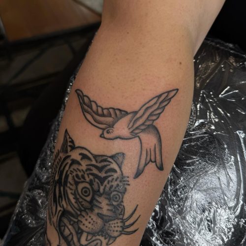 572645004_18106540909717318_5233787977591503651_n