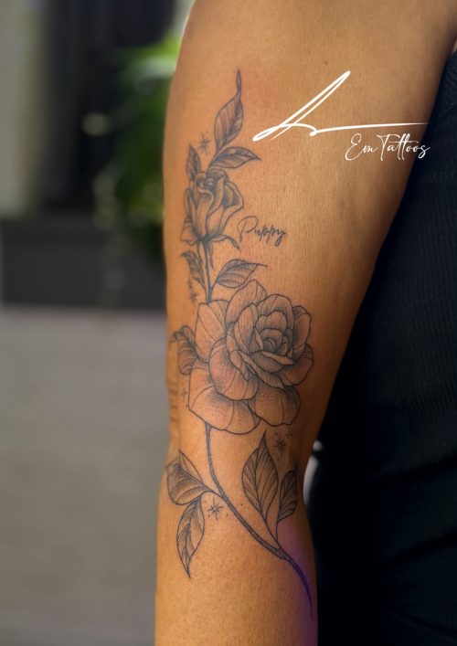 7b4c0eae-3b15-4a22-9e45-a7ddf5a5f14a